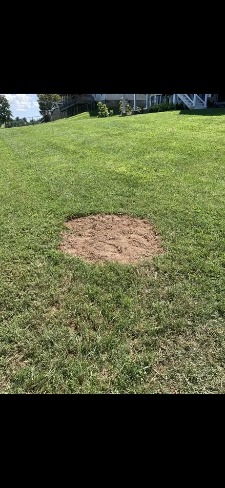 Reliable landscape design in Whitesburg, TN by Short’s Lawn Care & Landscaping