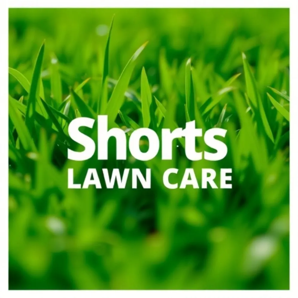 Custom yard maintenance in Vernon, TX - Shorts Lawn Care