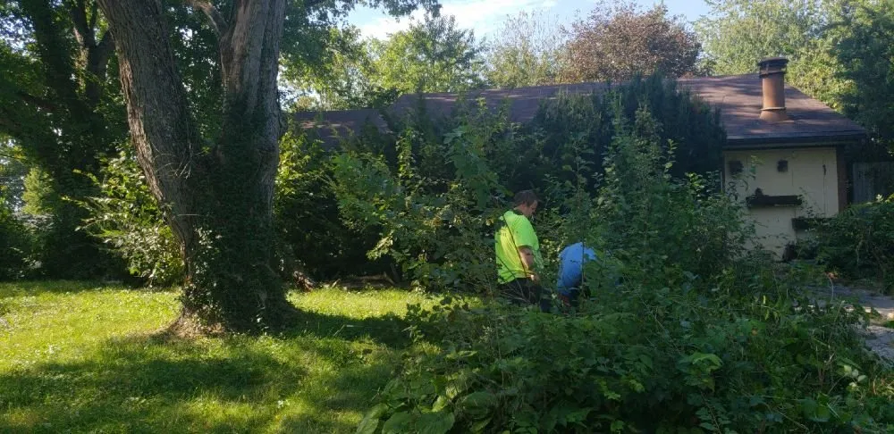 Local lawn mowing service for beautiful yards across Dayton, OH - Short's Property Maintenance