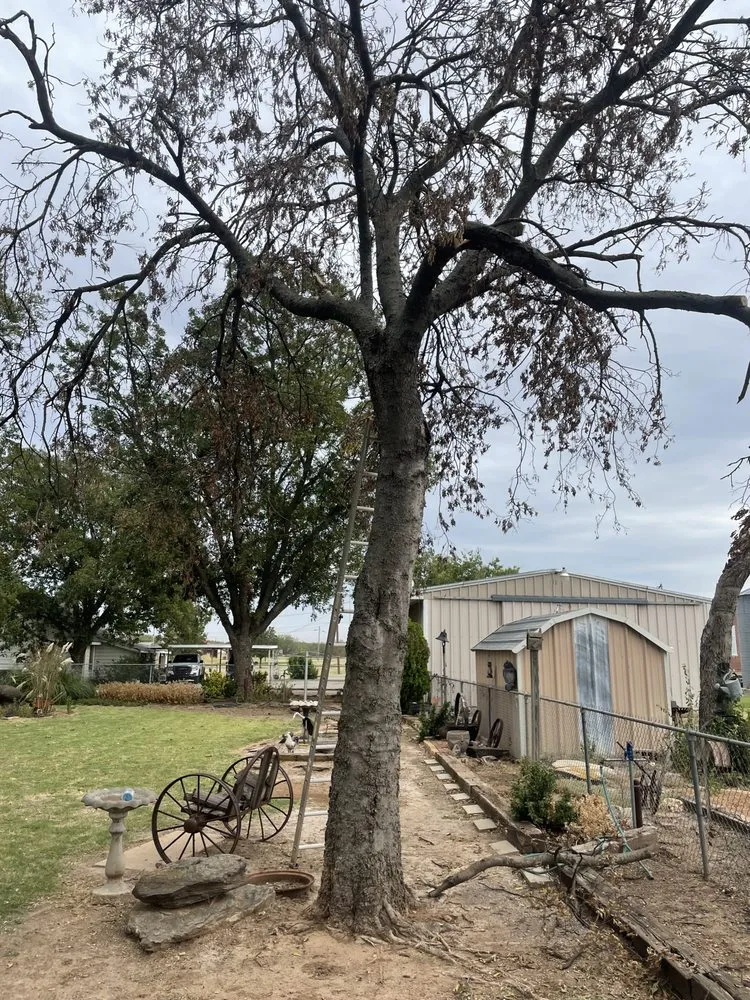 Expert lawn mowing service in Walters, OK - Shortts Tree Service And Landscaping