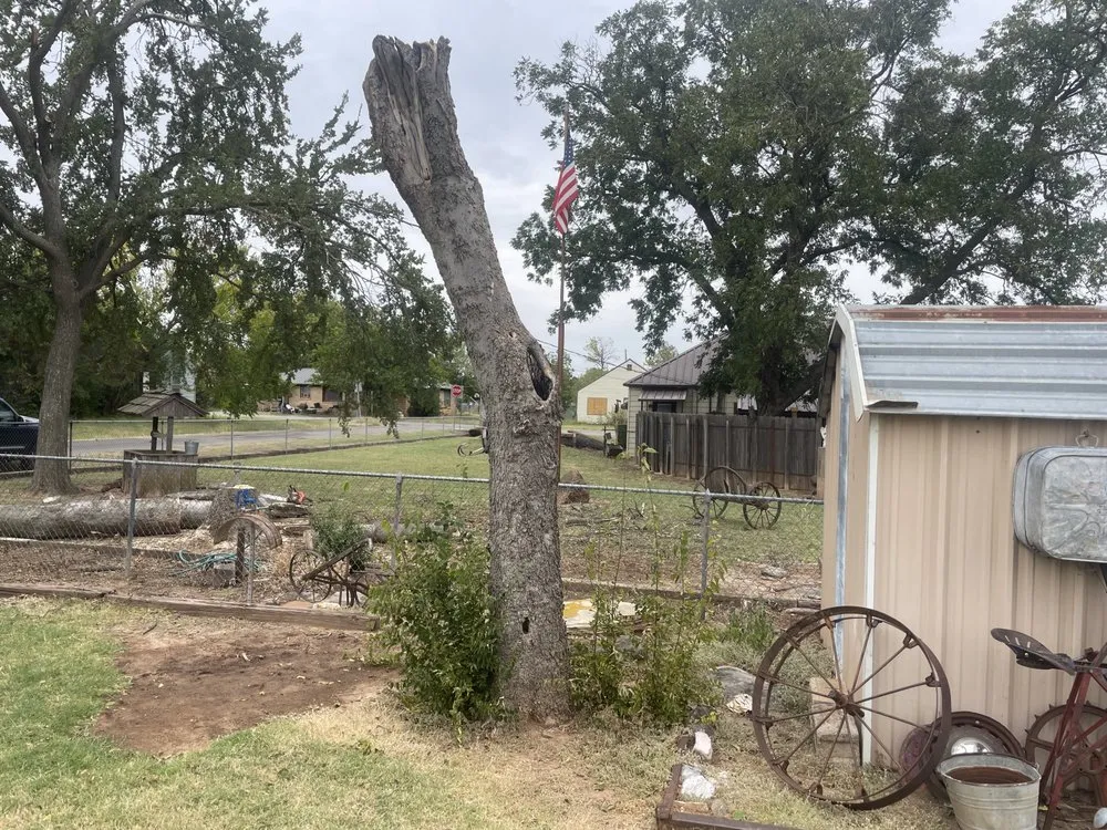 Top-rated landscaping services in Walters, OK by Shortts Tree Service And Landscaping