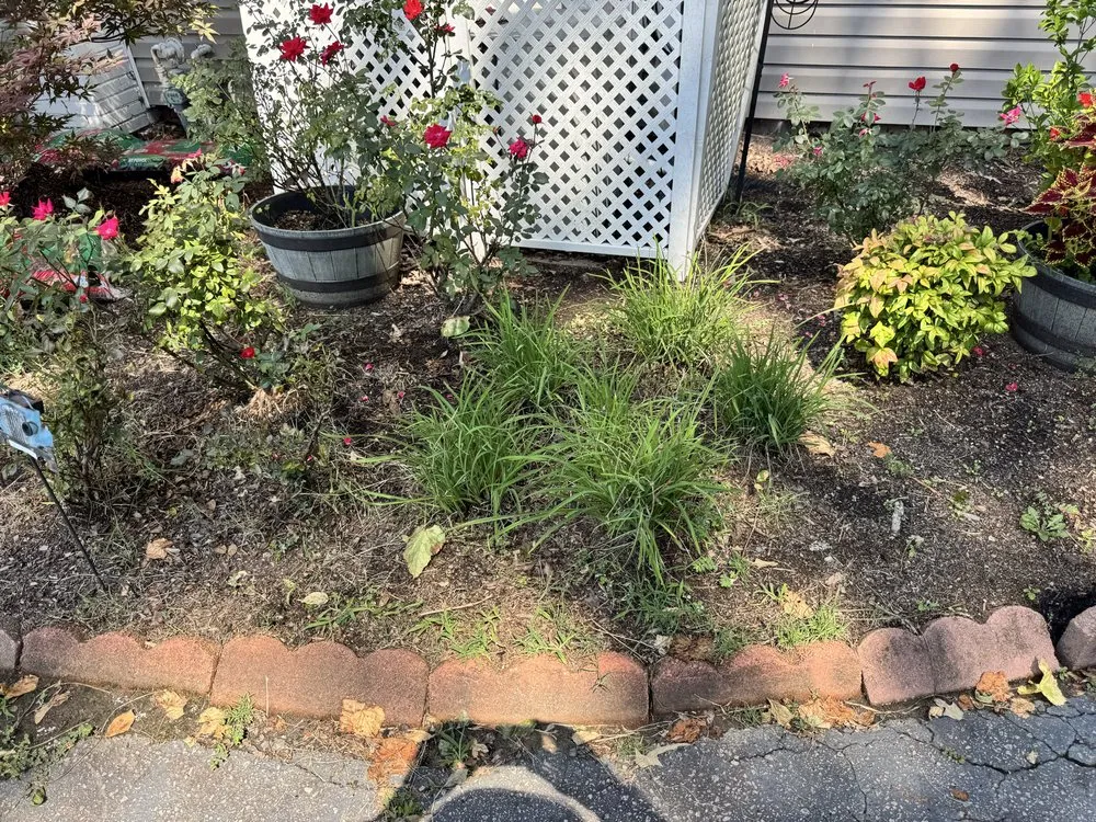 Professional landscape design experts serving Henderson, NC - Shorty Pete’s Lawn Service