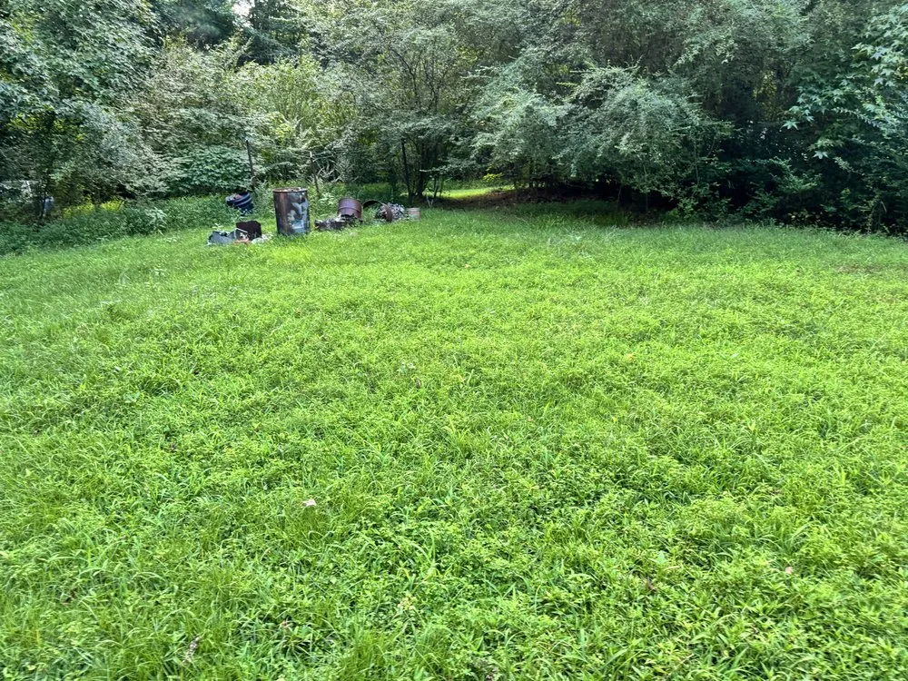 Trusted landscaping services for outdoor upgrades in Henderson, NC by Shorty Pete’s Lawn Service