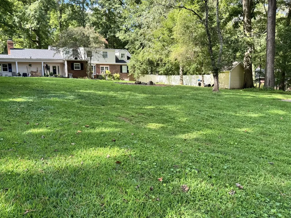 Expert yard cleanup service in Henderson, NC by Shorty Pete’s Lawn Service