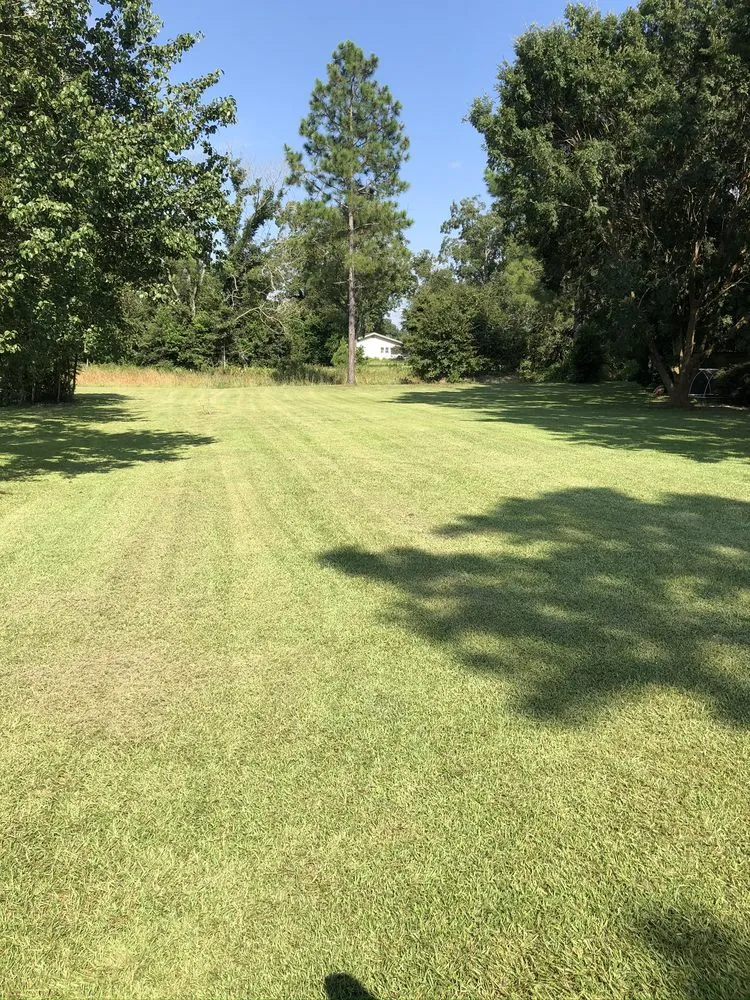 Trusted landscape installation for homes across Boston, GA - Shorty’s Lawn Care