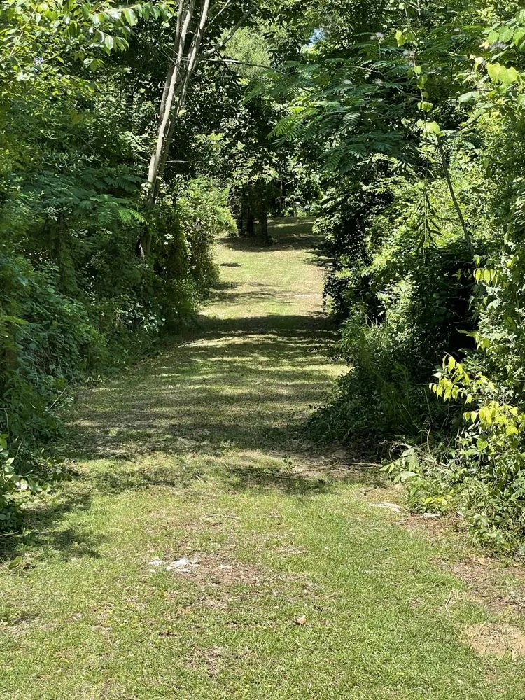 Trusted outdoor landscaping experts serving Boston, GA - Shorty’s Lawn Care