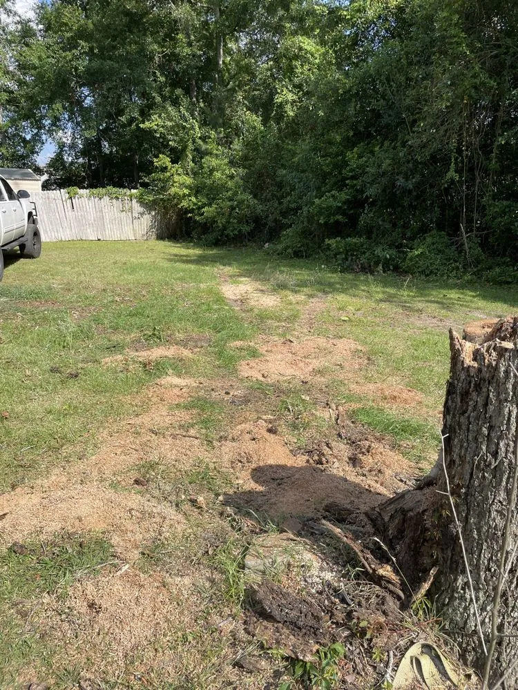 Reliable lawn mowing service for year-round maintenance across Boston, GA - Shorty’s Lawn Care