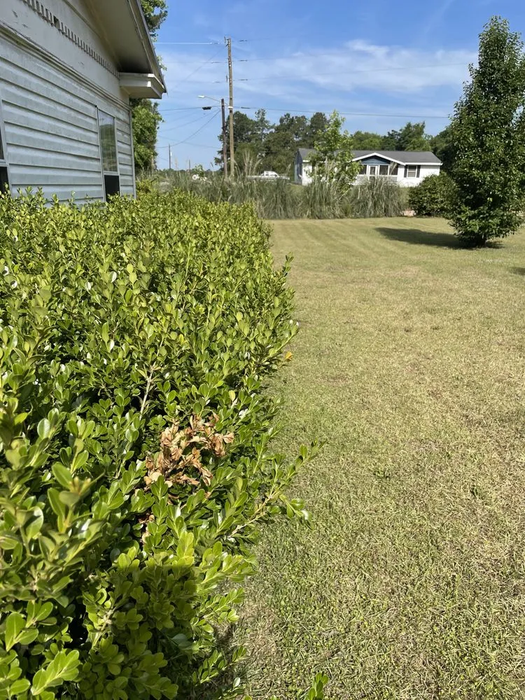 Professional landscape design in Boston, GA by Shorty’s Lawn Care