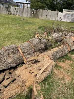 Shorty’s Lawn Care