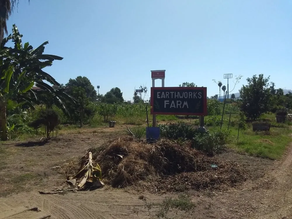 Local outdoor landscaping for outdoor upgrades in Pomona, CA by Shoshin Ecological Farming & Gardening Services