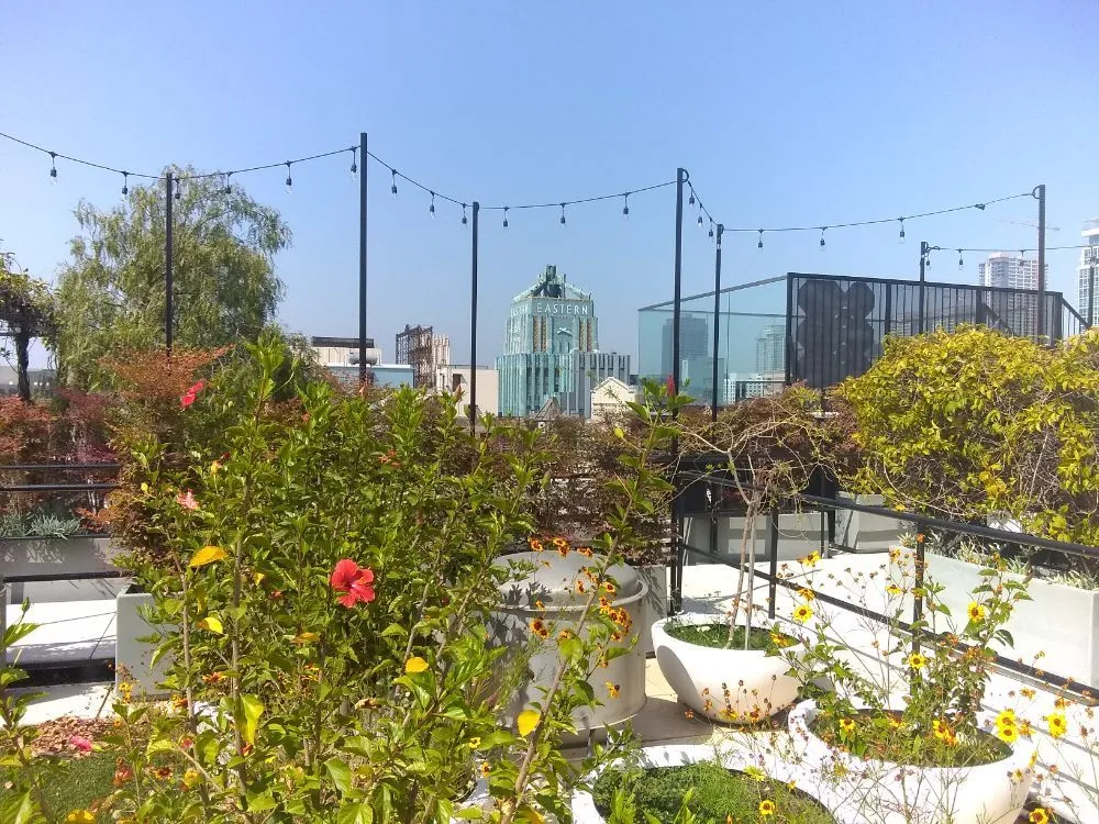 Local garden landscaping in Pomona, CA - Shoshin Ecological Farming & Gardening Services