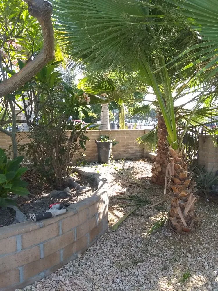 Professional landscape design in Pomona, CA by Shoshin Ecological Farming & Gardening Services