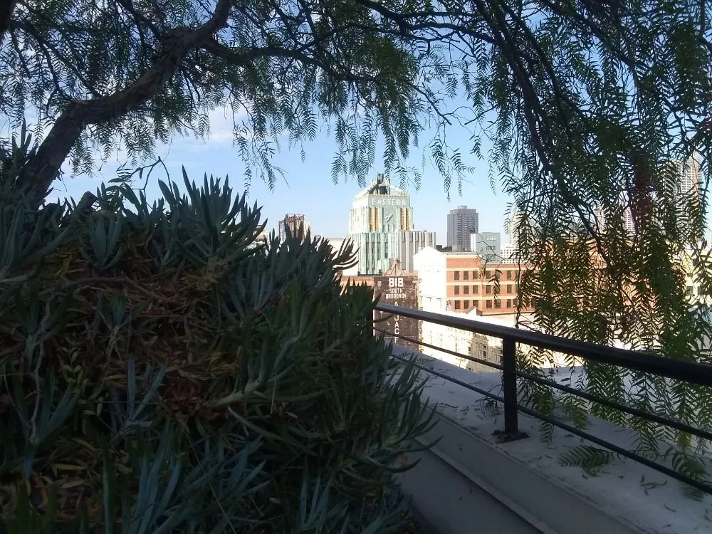 Local yard cleanup service in Pomona, CA by Shoshin Ecological Farming & Gardening Services