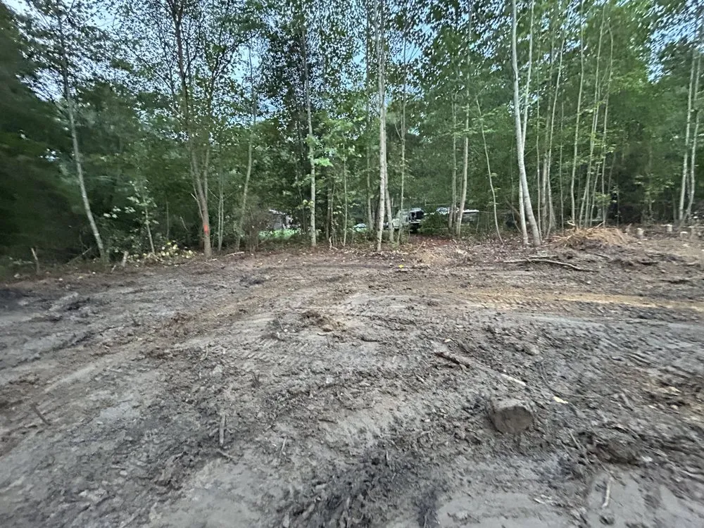 Trusted residential landscaping in Estill Springs, TN - Shotts Firewood