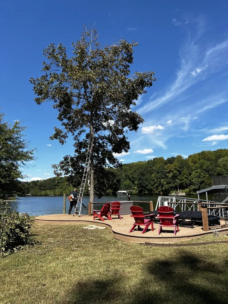 Affordable landscaping services in Estill Springs, TN - Shotts Firewood