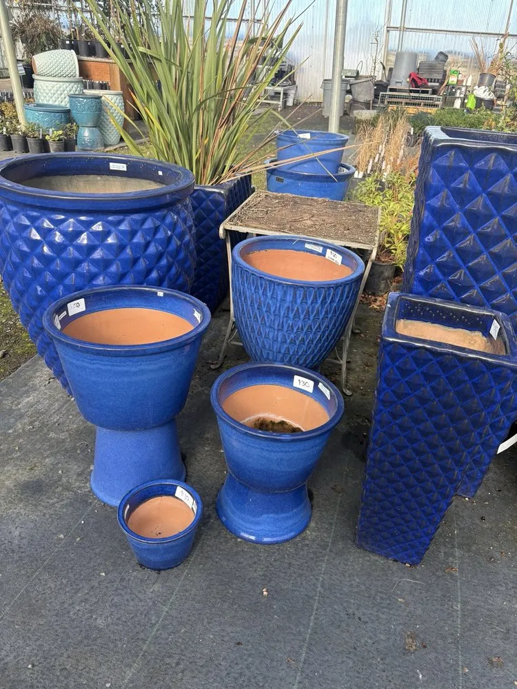 Trusted yard cleanup service with custom design in Ridgefield, WA by Shovel & Thumb