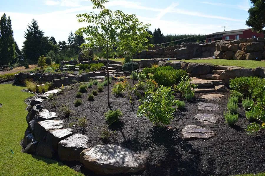 Trusted landscaping services in Ridgefield, WA by Shovel & Thumb