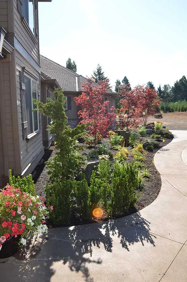 Top-rated yard cleanup service in Ridgefield, WA by Shovel & Thumb