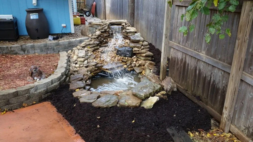 Reliable yard cleanup service for year-round maintenance across Lee's Summit, MO - Show Me Outdoor Living