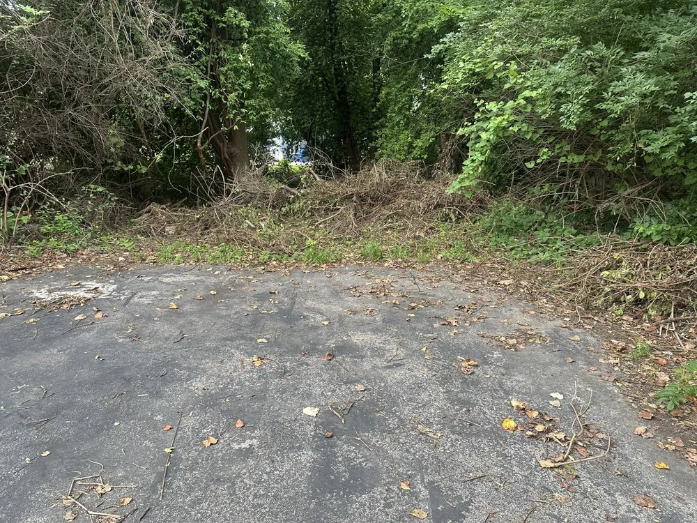 Trusted lawn care service in Ferguson, MO - Show Me Work Construction