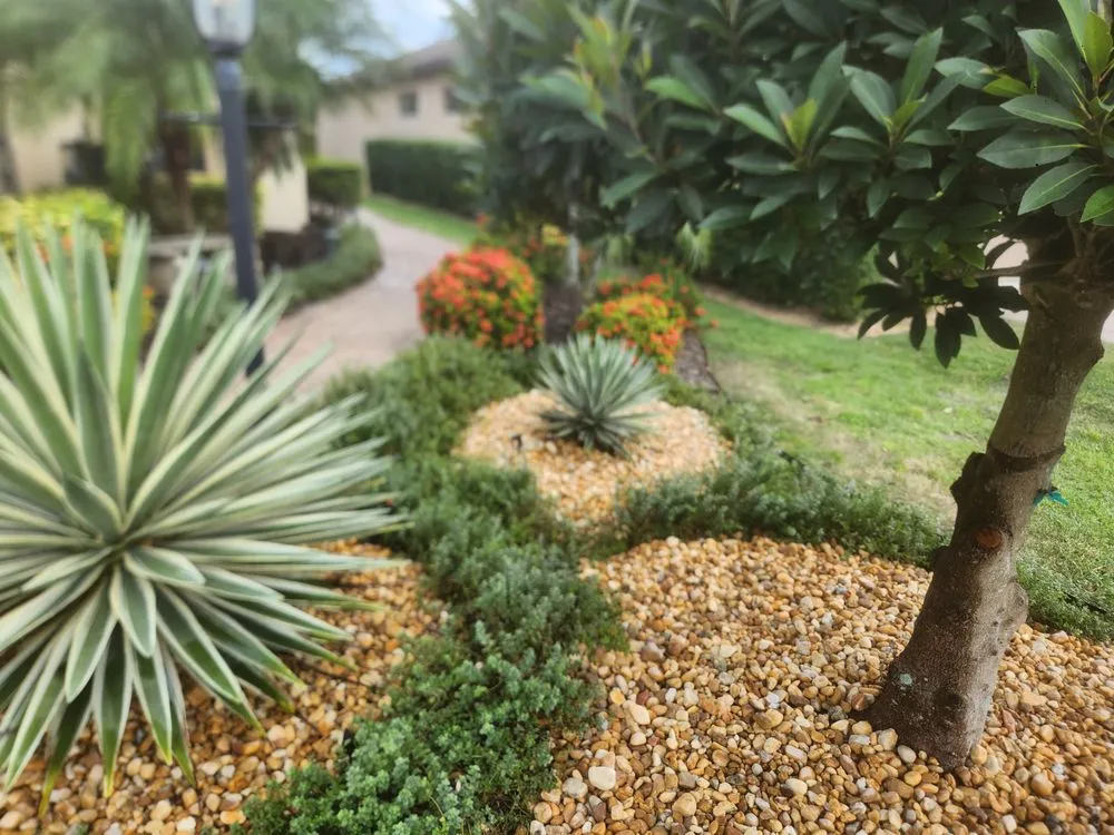 Professional yard maintenance in Bradenton, FL by Show Off Landscaping