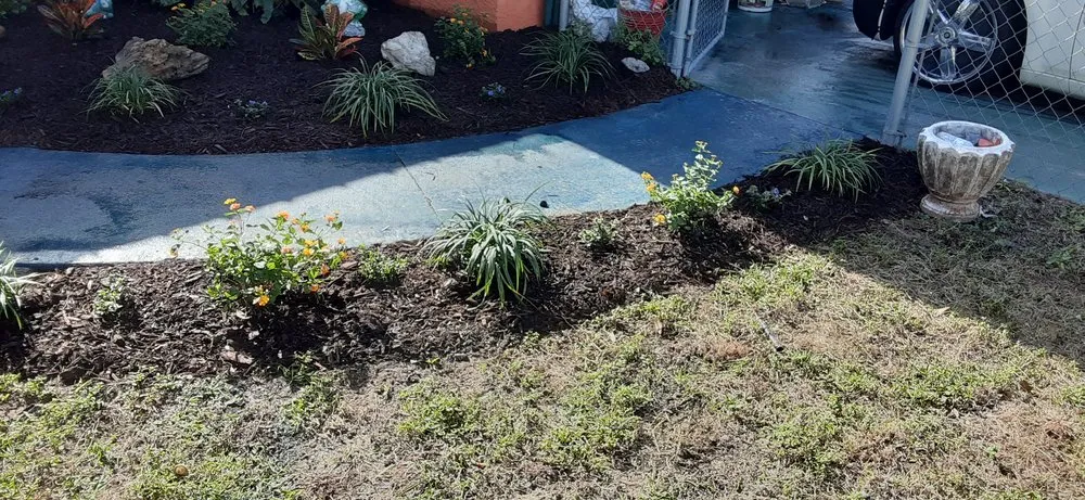 Affordable lawn care service experts serving Bradenton, FL - Show Off Landscaping