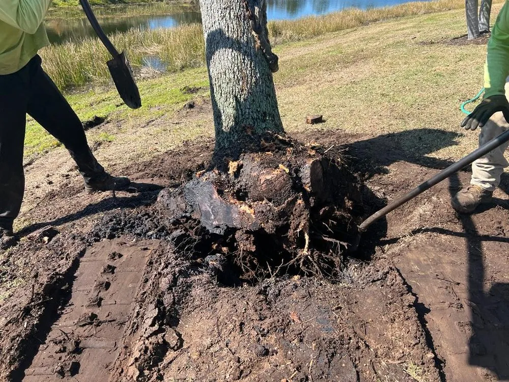 Custom yard cleanup service near you across Bradenton, FL - Show Off Landscaping