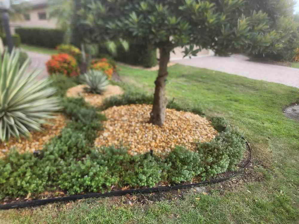 Local landscape design for outdoor upgrades in Bradenton, FL by Show Off Landscaping