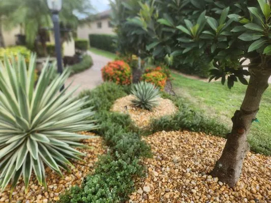 Show Off Landscaping Logo