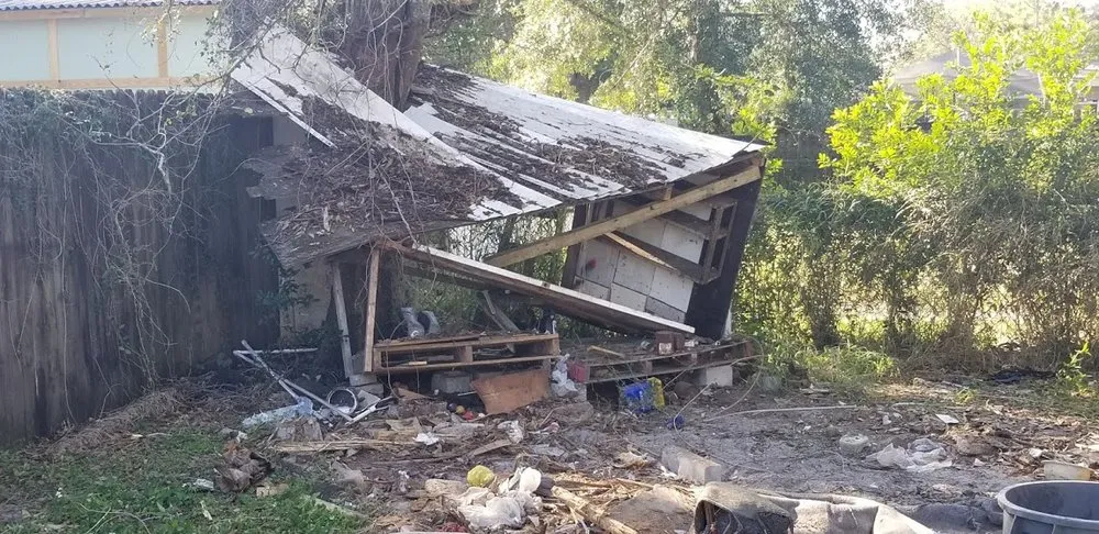 Affordable yard cleanup service in Tampa, FL - Show To Prove