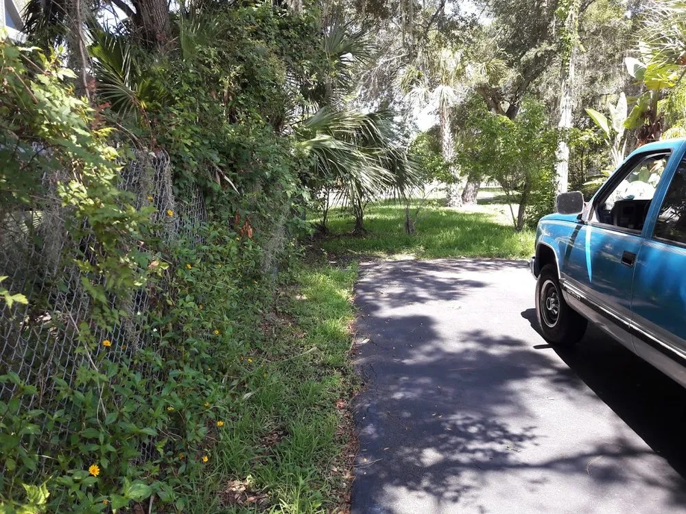 Affordable residential landscaping in Tampa, FL by Show To Prove