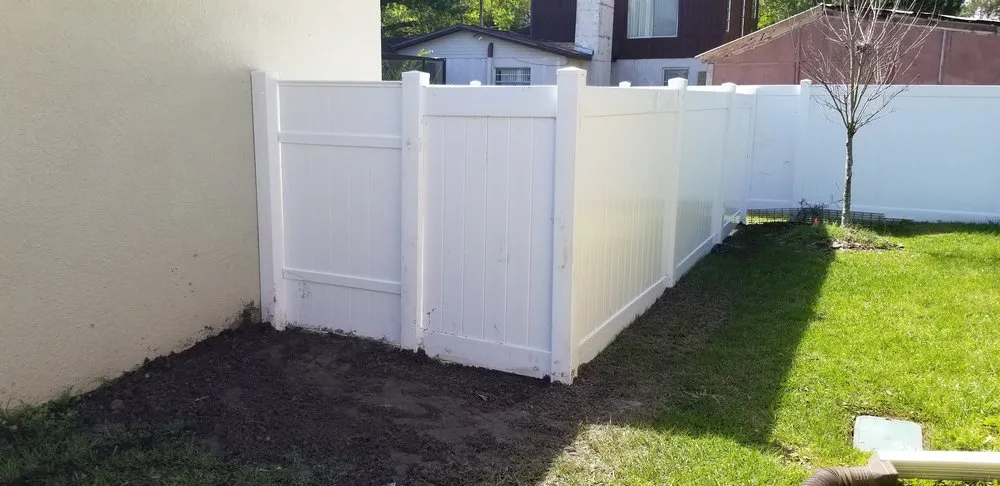 Top-rated lawn care service in Tampa, FL by Show To Prove