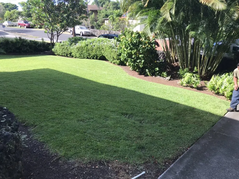 Top-rated outdoor landscaping for homes across Kailua-Kona, HI - SHOW-U-HAO Landscape Maintenance
