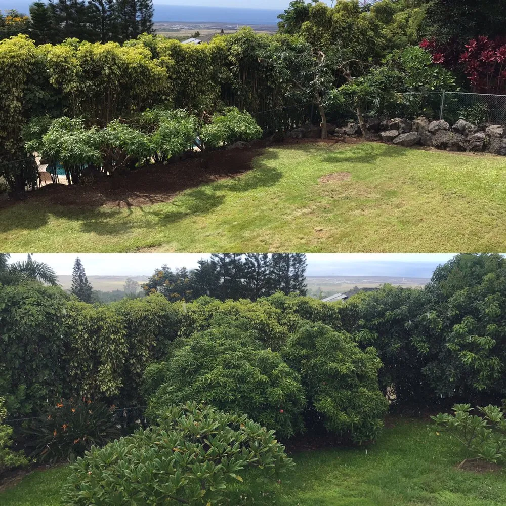 Professional residential landscaping experts serving Kailua-Kona, HI - SHOW-U-HAO Landscape Maintenance