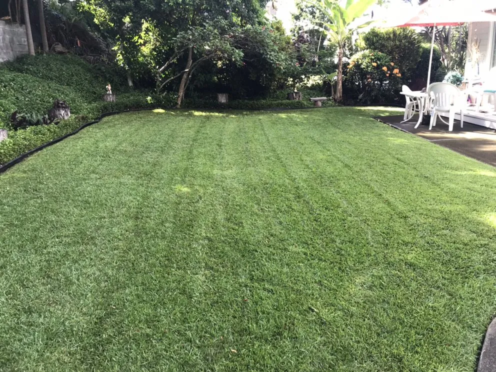 Expert landscaping services experts serving Kailua-Kona, HI - SHOW-U-HAO Landscape Maintenance