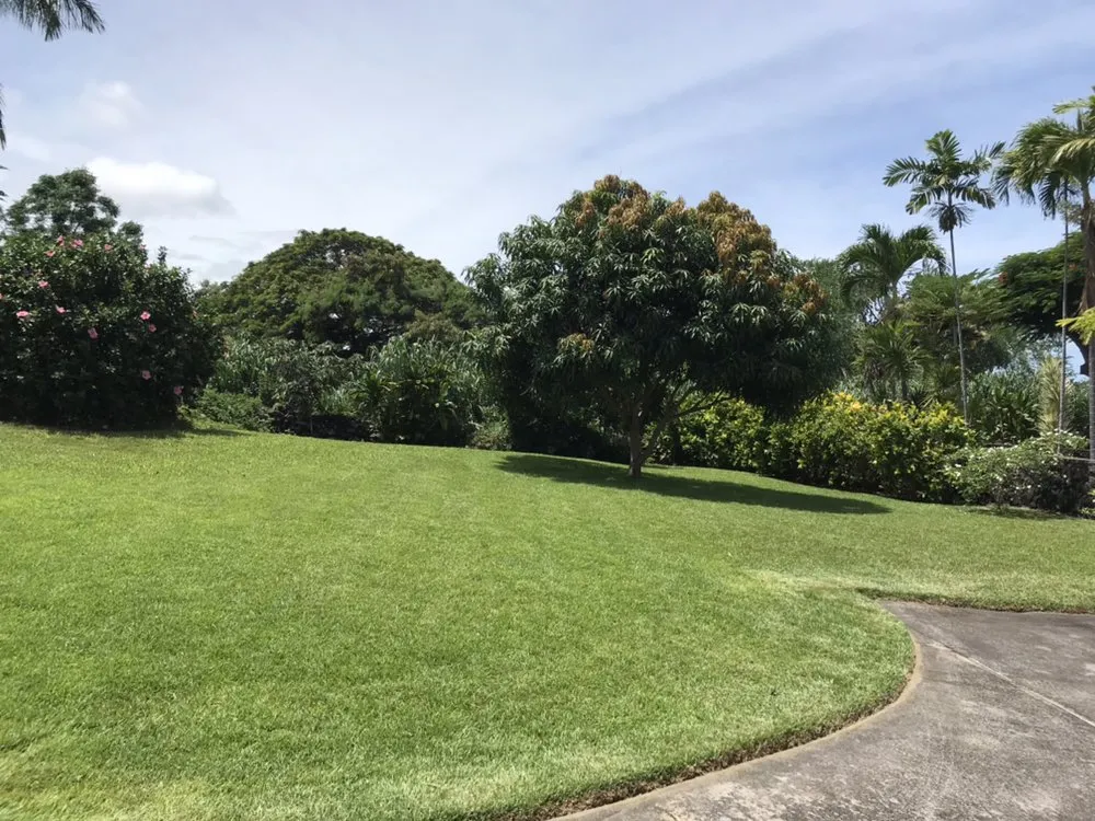 Reliable yard cleanup service for beautiful yards in Kailua-Kona, HI by SHOW-U-HAO Landscape Maintenance