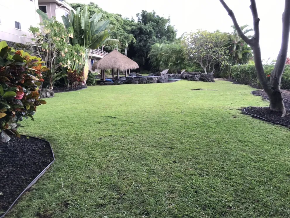 Local yard cleanup service for outdoor upgrades in Kailua-Kona, HI by SHOW-U-HAO Landscape Maintenance