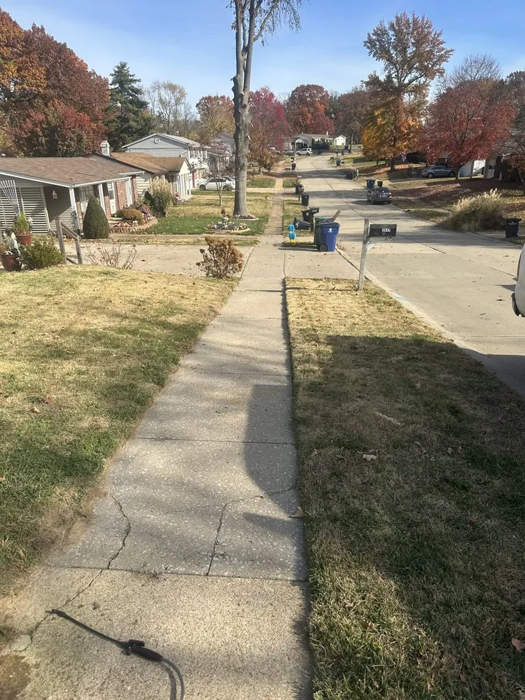 Trusted landscape installation experts serving St. Louis, MO - Show Up Show Off Landscaping And More