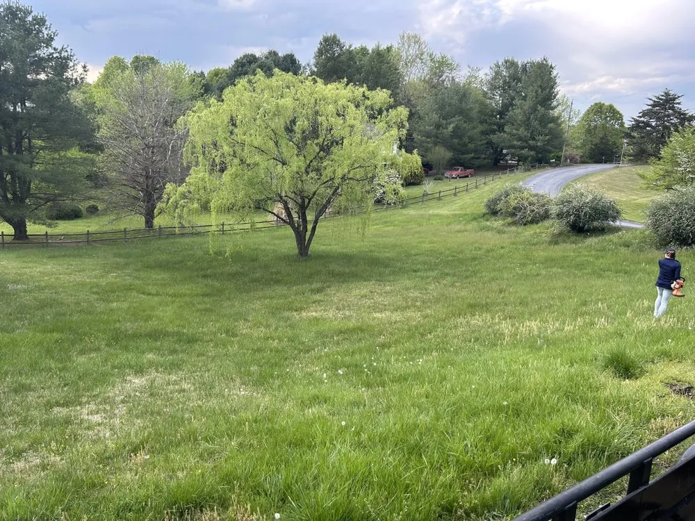 Trusted yard cleanup service for beautiful yards across Stephens City, VA - Showalter’s Property Maintenance