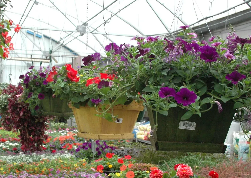 Expert lawn care service near you in Coldwater, MI by Showcase Gardens & Landscaping