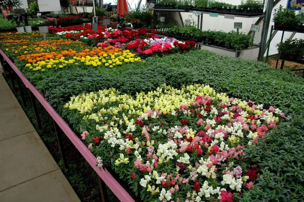 Reliable outdoor landscaping experts serving Coldwater, MI - Showcase Gardens & Landscaping