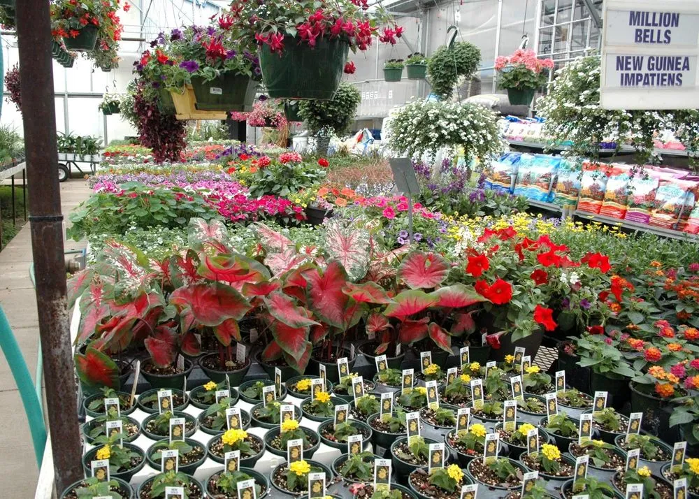 Professional landscape installation experts serving Coldwater, MI - Showcase Gardens & Landscaping