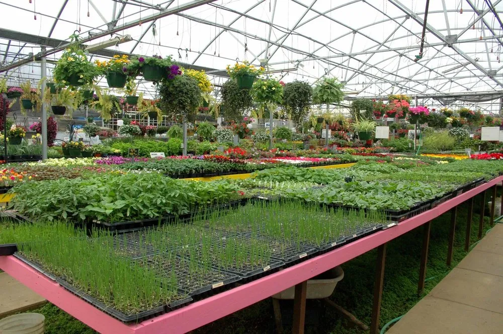 Custom landscape installation for beautiful yards across Coldwater, MI - Showcase Gardens & Landscaping