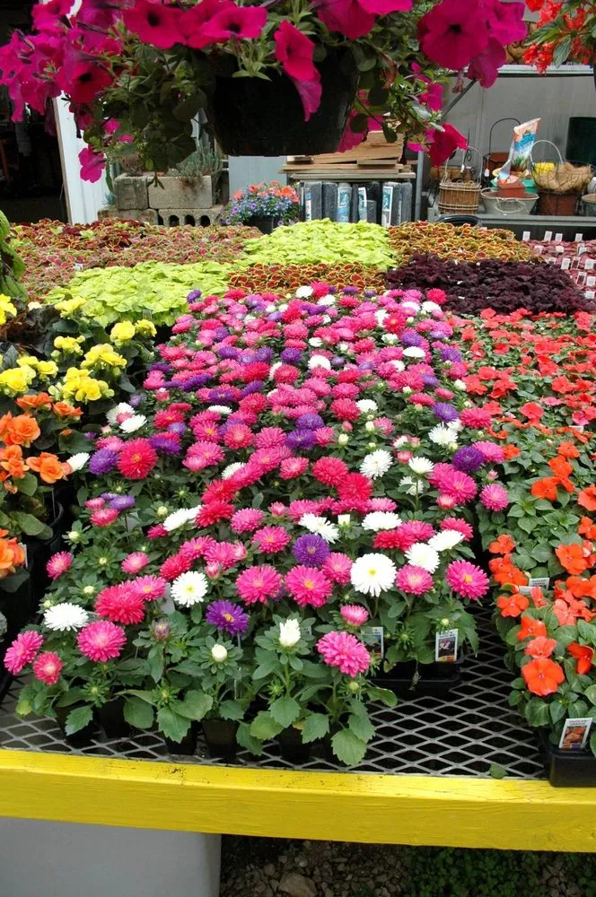 Custom residential landscaping experts serving Coldwater, MI - Showcase Gardens & Landscaping