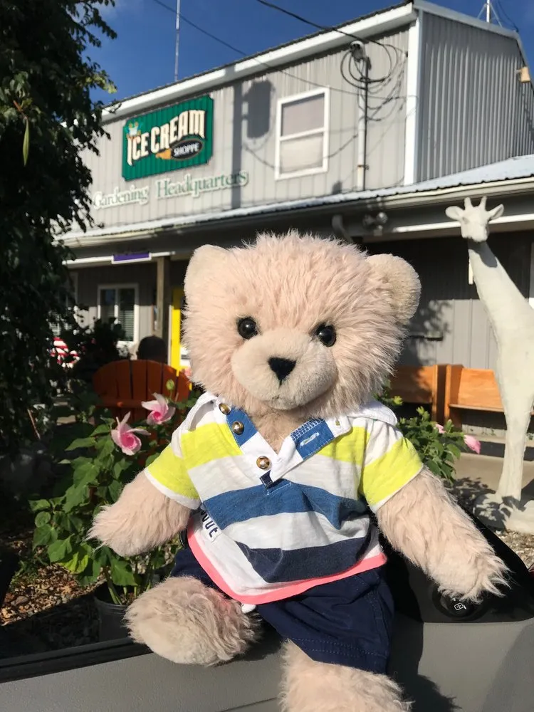 Trusted yard cleanup service in Coldwater, MI - Showcase Gardens & Landscaping