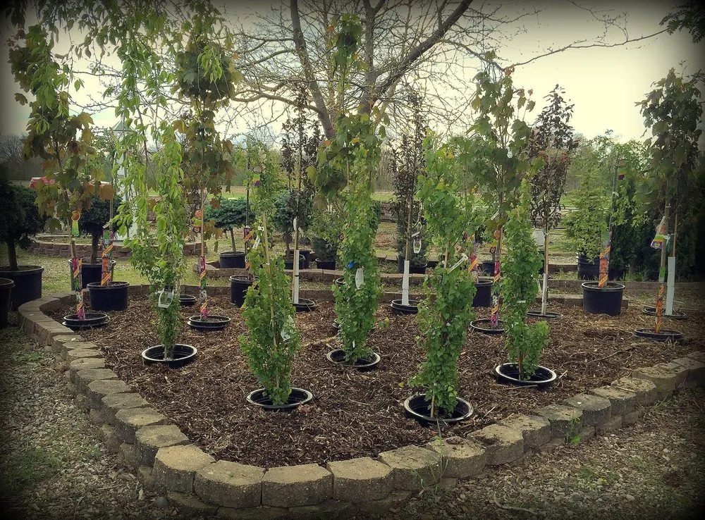 Custom landscaping services experts serving Coldwater, MI - Showcase Gardens & Landscaping