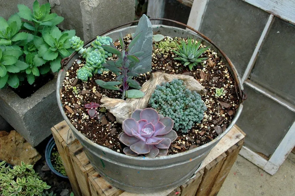 Professional lawn care service with custom design across Coldwater, MI - Showcase Gardens & Landscaping