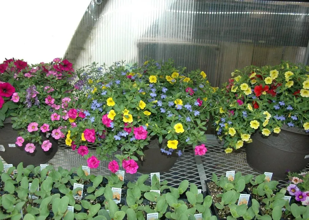 Local landscaping services for outdoor upgrades in Coldwater, MI by Showcase Gardens & Landscaping