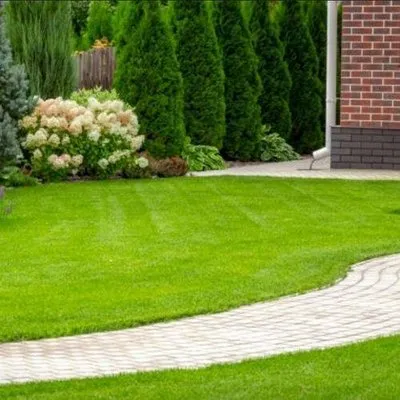 Showcase Landscaping & More Logo