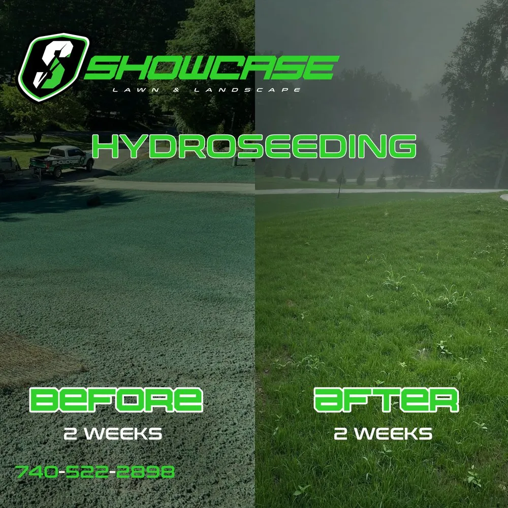 Expert lawn mowing service for outdoor upgrades in Newark, OH by Showcase Lawn & Landscape